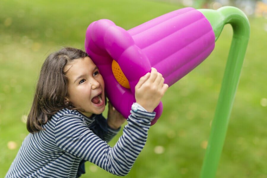 img-products-playgrounds-static-toys-xed20-img-gs-vox-xed20-900